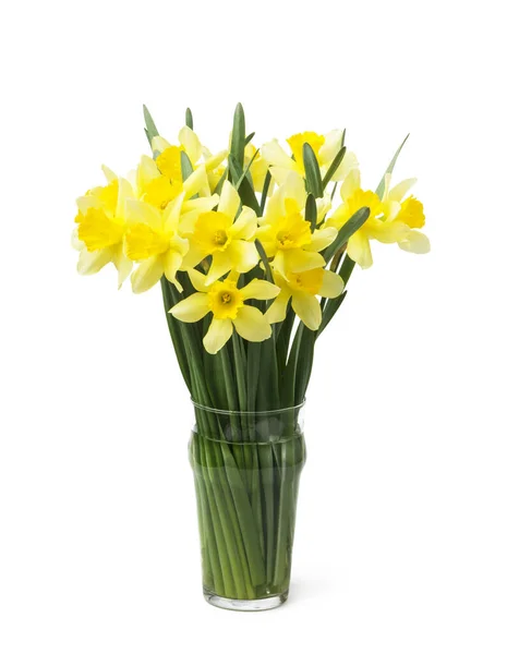 Belles Jonquilles Jaunes Dans Vase Isolé Sur Blanc — Photo