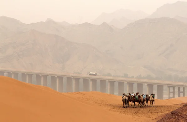 Tennger içinde Develer çöl, Shapotou manzara alan, Ningxia Eyaleti