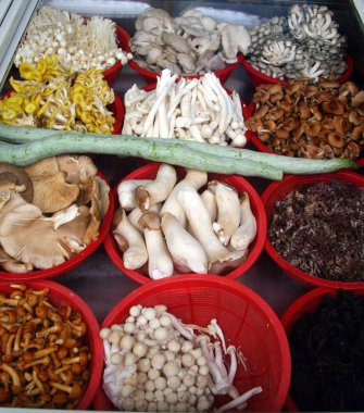 12 farklı tür mantar üstünde belgili tanımlık sayaç küçük bir Çinli 