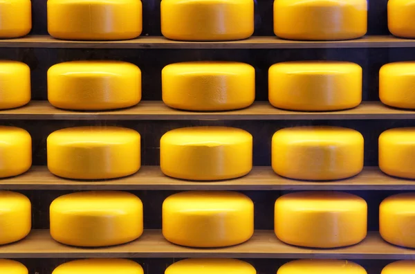 Yellow heads of cheese — Stock Photo, Image