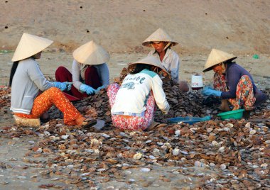 Muine, Vietnam - 13 Şubat 2009: Vietnam kadın deniz kıyısında sıralayın. Deniz ürünleri çıkarımı Vietnam kıyı köylerde ana iştir