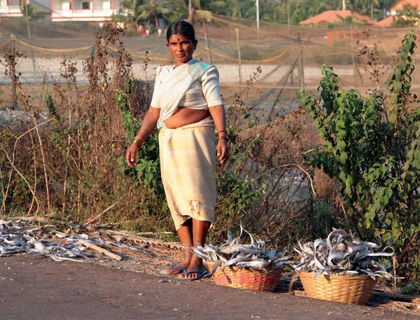 Goa, Indien - 20 Feb 2008: Indisk kvinna att samla fisk som var torkad rätt på marken längs vägen — Stockfoto