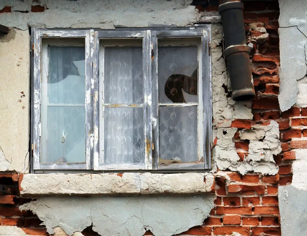 Terk edilmiş eski bir evin penceresi