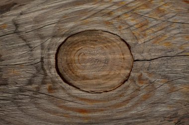 Günlük kesim yüzeyinin doğal deseni