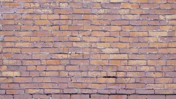 Brick Wall Purple Color — Stock Photo, Image
