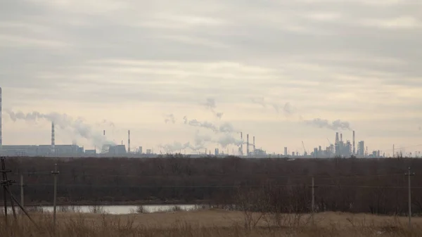 Büyük şehir bitkilerinin panoraması