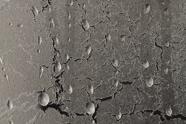 Donmuş bardakta su damlaları 