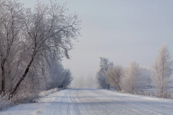 Estrada Áspera Branca Floresta Inverno — Fotografia de Stock