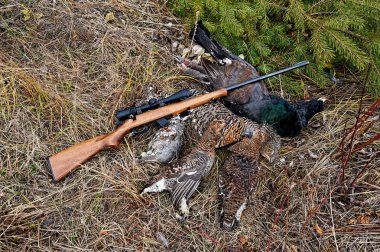 Av ganimeti kapari ve siyah orman tavuğu.