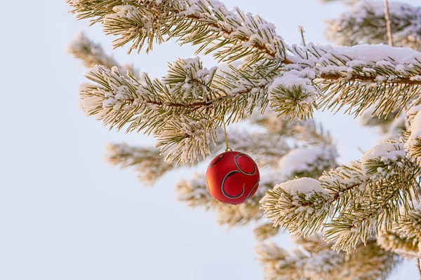 Червона Декоративна Куля Ялинці Снігу — стокове фото
