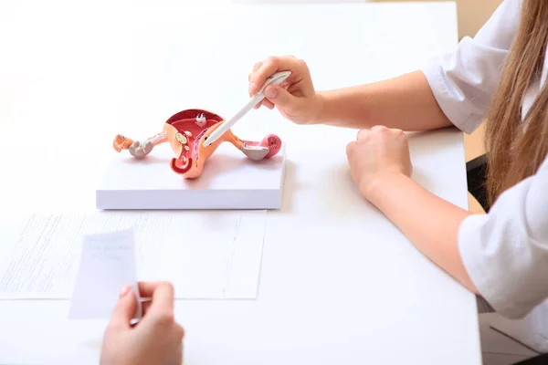 Mannequin female genital organs. The doctor\'s hand points to the dummy. Photo without a face on a white background. The view from the top. Copy space