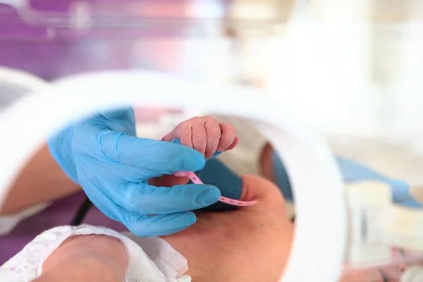 Το χέρι του γιατρού κρατάει τη λαβή ενός νεογέννητου μωρού. Μακρο-φωτογραφία χωρίς πρόσωπο. Φωτογραφία στη μονάδα εντατικής θεραπείας του νοσοκομείου. Σωστική έννοια. Φωτογραφία σε εσωτερικούς χώρους. — Φωτογραφία Αρχείου