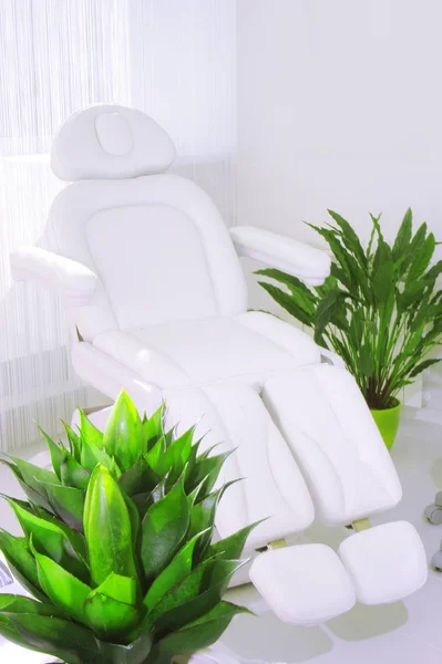 Bílý kožený gauč s květinami v květináčích v interiéru salonu krásy. Kotsept pohodlí a servis pro zákazníky kosmetické skříně. — Stock fotografie