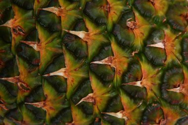 Ananas kabuğu yakın plan. Makro fotoğraf. Meyvenin dokusu.