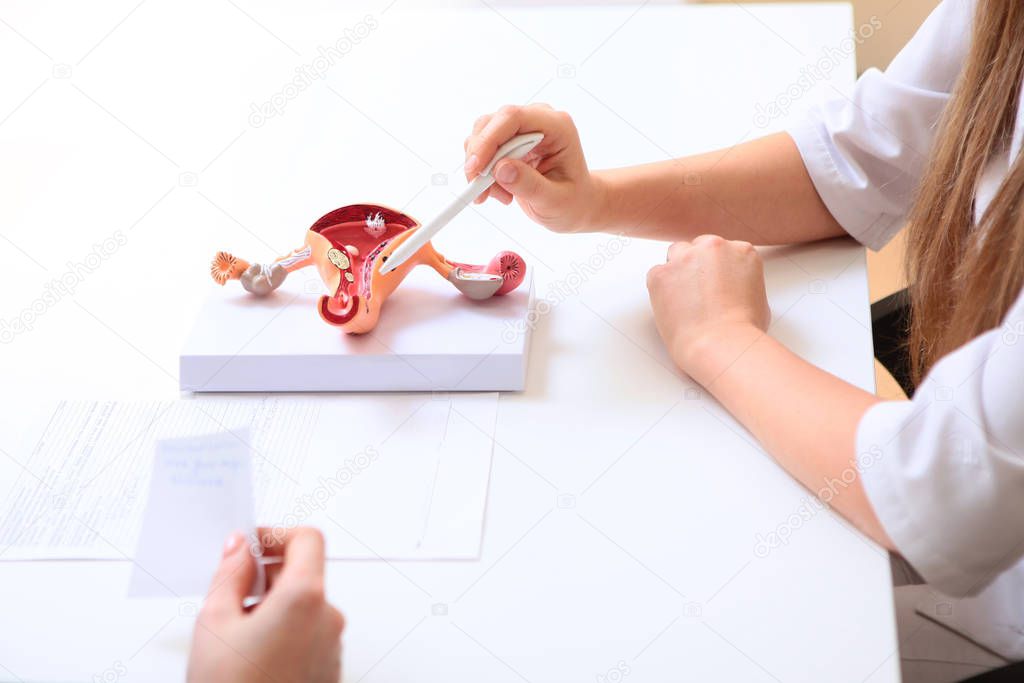 Reception in the gynecologist's office. The concept of women's health.Mannequin female genital organs. Only hand. Photo without a face on a white background. The view from the top. Copy space.