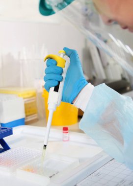 Laboratuvar asistanının elinde pipetle. Testlerin teslimatı. Koronavirüs salgını tehdidi. Boşluğu kopyala. Üst görünüm