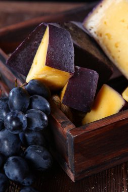 Tahta bir kutuda üzümlü ev yapımı peynir dilimleri. Yukarıdan görüntüle.