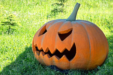 Cadılar Bayramı Balkabağı bir açıklıkta 