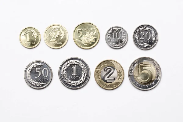 Польська Монети Білому Фоні — стокове фото