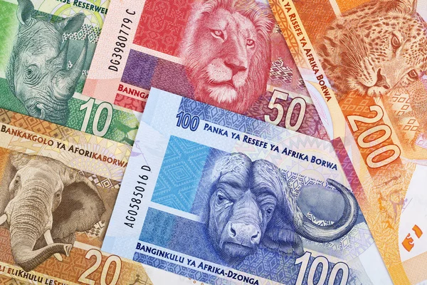 Південноафриканський Гроші Бізнес Фон — стокове фото
