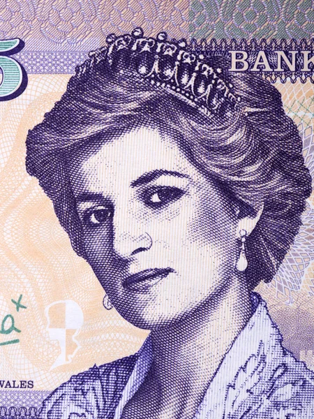 Diana Princess Wales Portrait Welsh Collector Money — Stock Photo, Image