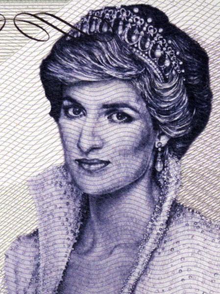 Prenses Diana, Galli koleksiyoncunun banknotundan bir portre.