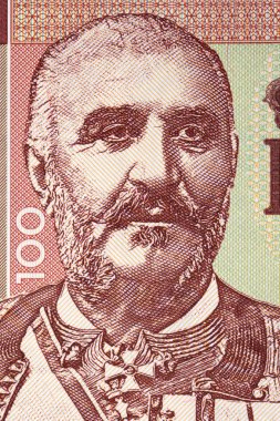 I. Nicholas Paradan bir portre