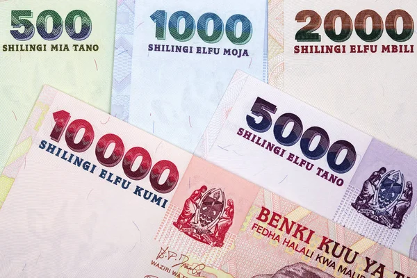 Tanzanian Shilling Ett Företag Bakgrund — Stockfoto