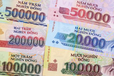 Vietnam 'dan gelen para. İş geçmişi.