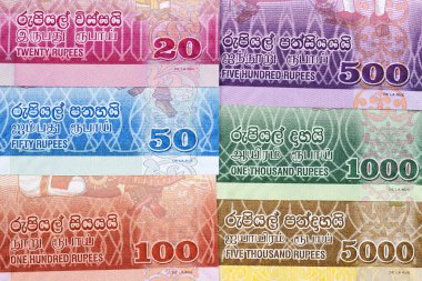 Sri Lanka 'dan gelen para iş geçmişi