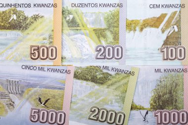  Angola 'nın para birimi - Kwanza bir iş geçmişi