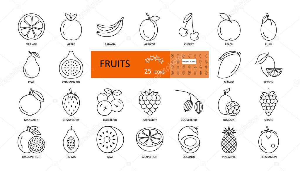 Fruit and berry. Vector thin icons with editable stroke. Sweet fruits of apple, orange, apricot, peach, kiwi, papaya, strawberry, grape, mango, persimmon mandarin and others. Flat illustration.