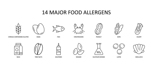 Głównych Ikon Alergenów Pokarmowych Zestaw Ikon Wektorowych Edytowalnym Udarem Kolekcja — Wektor stockowy