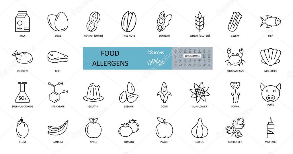 Food allergens icon. Vector set of 28 icons with editable stroke. The collection contains most allergenic products, such as gluten, fish, eggs, shellfish, peanuts, lupine, soy, celery, milk, tree nuts