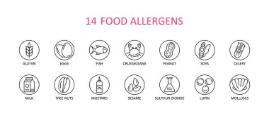 14 yuvarlak gıda alerjisi ikonu. 14 ikondan oluşan bir vektör kümesi. Koleksiyonda glüten, balık, yumurta, kabuklu deniz hayvanı, fıstık, lupin, soya, süt, ağaçlar, fındık, hardal, susam, sülfür dioksit yer alıyor.
