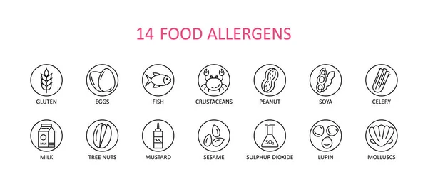 Food Allergens Icon Vector Set Icons Collection Includes Gluten Fish — Stock Vector