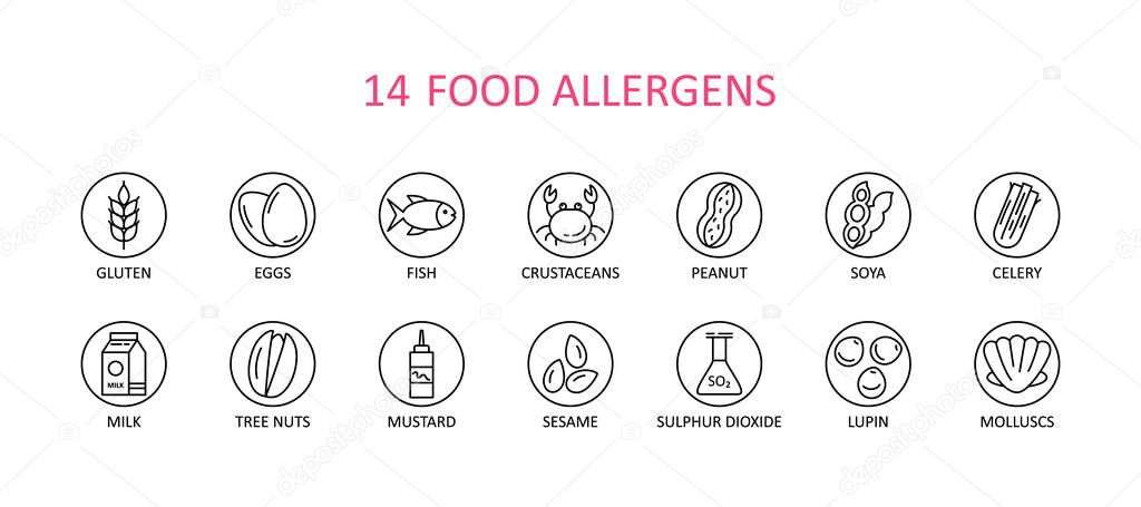 14 round food allergens icon. Vector set of 14 icons. Collection includes gluten, fish, egg, crustacean, peanut, lupin, soya, milk, trees nuts, mustard, sesame, sulphur dioxide.