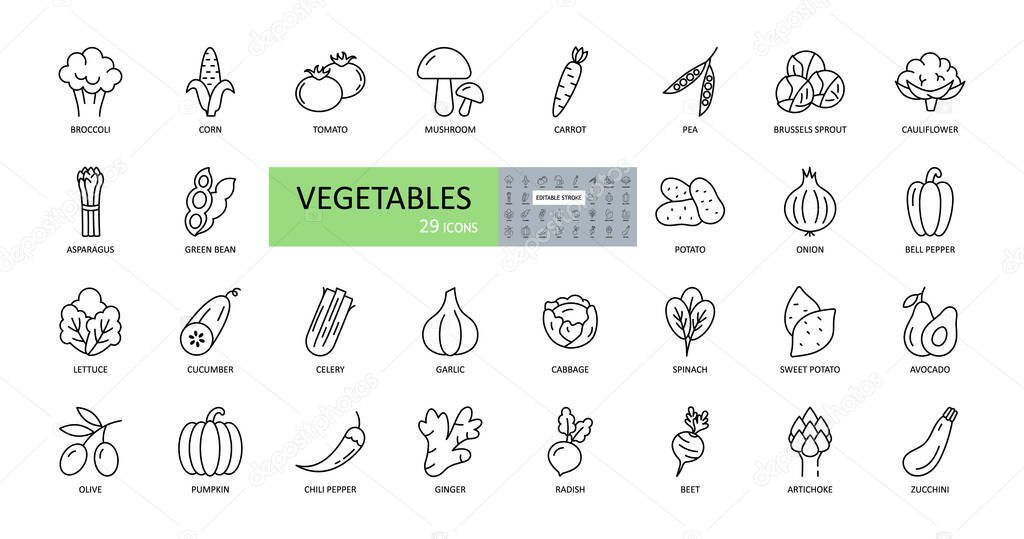 Vector vegetables icons. Editable Stroke. Salad vegetable, bean, cabbage, tomato, cucumber, avocado. Artichoke mushrooms beetroot cauliflower corn onion garlic radish celery ginger.