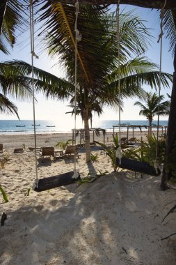 Tropikal Cennet Mavi Okyanus Su Manzarası 'nın üzerinde sallanıyor. Salıncağın panoramik görüntüsü Tulum Mexico sahilindeki hindistan cevizi ağacında asılı.