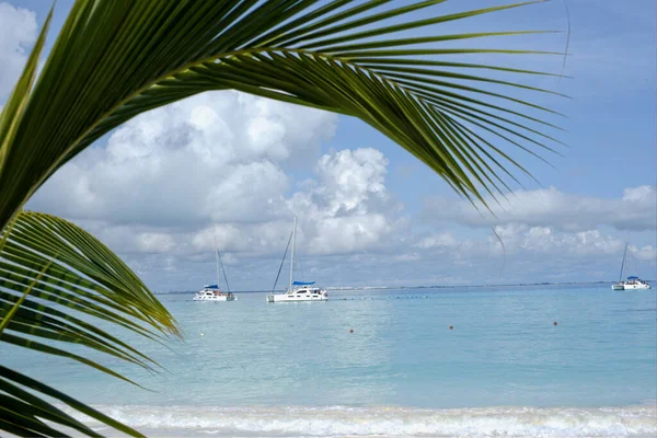 Karayip sahilinin önünde lüks katamaran yelkenlisi. Mutlu insanlar yatın yanındaki sakin denizde oynar ve yüzer.