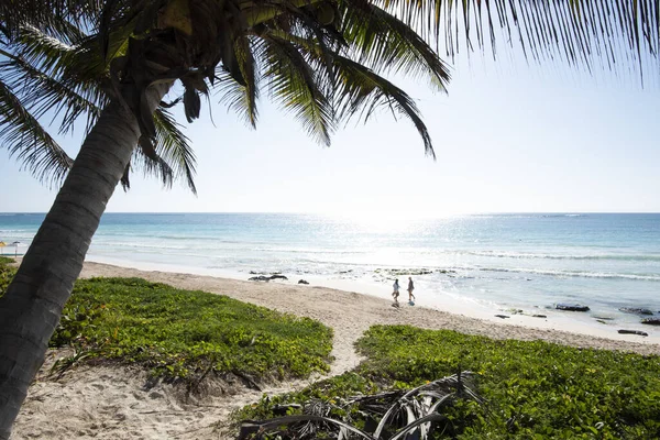 파노라마는 야자나무가 카리브해 해변을 바라본다 관광객들은 하늘을 배경으로 해변을 거닐고 — 스톡 사진