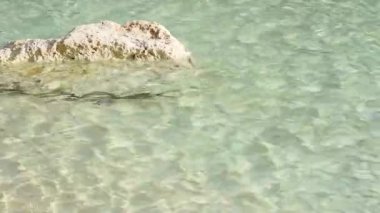 Etrafında su akan büyük bir kaya. Taşın altındaki küçük su dalgalanmaları, su yüzeyi. Rahatlama ve seyahat kavramı