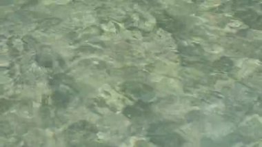 Sakin, yeşil suyu akan doğal bir havuz. Meditasyon ve rahatlama konsepti. Duvar kağıdı olarak kullan