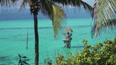 Arka planda palmiye ağaçları ve Karayip denizi olan tropik bir manzara. Doğa, seyahat ve tatil konsepti. Gerçek zamanlı stok videosu