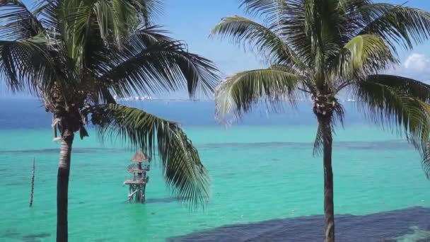 Tropisch Uitzicht Met Palmbomen Caribische Zee Achtergrond Natuur Reizen Vakantie — Stockvideo
