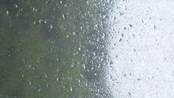 Primer Plano Mosquitero Gotas Lluvia Vertical Orientación Pantalla Fondo Lluvia — Vídeo de stock