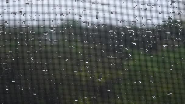 Zbliżenie Moskitiera Krople Deszczu Pozioma Orientacja Ekranu Tle Tropikalny Deszcz — Wideo stockowe