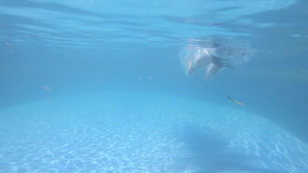 Jovem Saltar Para Piscina Num Dia Ensolarado Horizontal Slow Motion — Vídeo de Stock