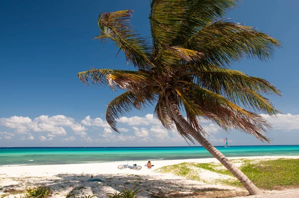 一个完美的热带海滩一个游客与她的自行车日光浴 棕榈树 平静的大海和帆船在地平线上 完美的地方放松在平静和宁静 — 图库照片
