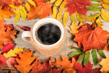 Büyük bir fincan sıcak bir içecek, renkli sonbahar yaprakları